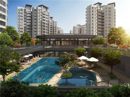 自由兄弟茶油炒饭