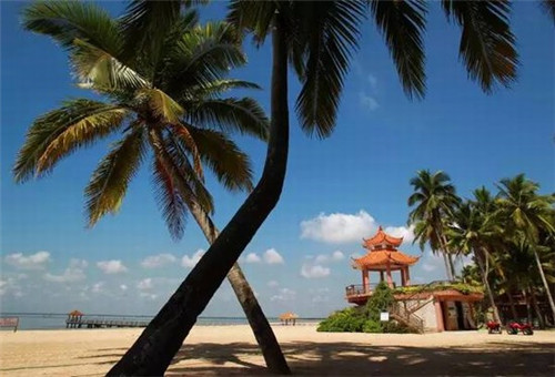 丁丁洋自助火锅