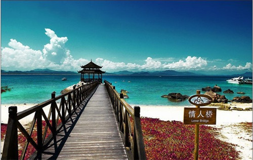 金马鸡汤刀削面