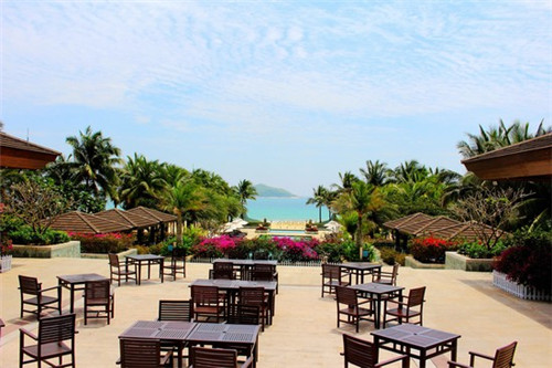 遵义市磨牙棒加盟投资开店哪家品牌有优势，磨牙棒价格