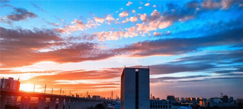 花谢人长瘤是什么歌（花谢花落是哪首歌曲）