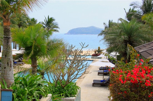 蜂胶的十大功能和作用是什么（蜂胶有什么作用与功效与作用）