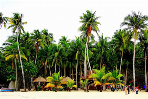 女孩起名李璐什么好听（李璐这个名字的含义）