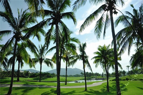 河南河泽有什么景点（河泽旅游地）