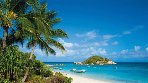 金泰府火锅隶属于哪个公司，特色火锅加盟店哪些品牌好赚钱