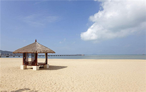 上海十大消毒场所排名（上海专业消毒公司哪家好）