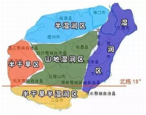 世界十大贵茶是什么茶树（世界最贵茶十大排行多少钱）